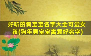 好听的狗宝宝名字大全可爱女孩(狗年男宝宝寓意好名字)