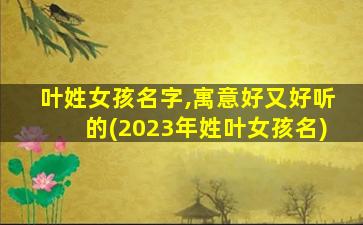 叶姓女孩名字,寓意好又好听的(2023年姓叶女孩名)
