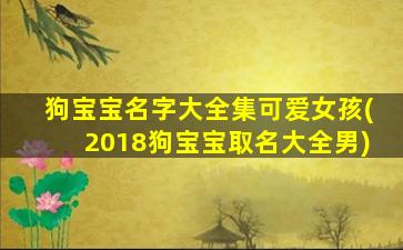 狗宝宝名字大全集可爱女孩(2018狗宝宝取名大全男)