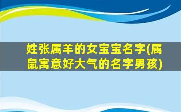 姓张属羊的女宝宝名字(属鼠寓意好大气的名字男孩)