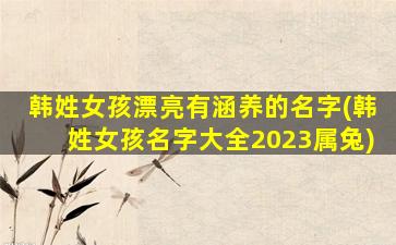 韩姓女孩漂亮有涵养的名字(韩姓女孩名字大全2023属兔)