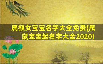 属猴女宝宝名字大全免费(属鼠宝宝起名字大全2020)