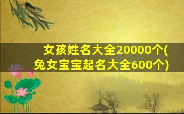 女孩姓名大全20000个(兔女宝宝起名大全600个)
