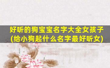 好听的狗宝宝名字大全女孩子(给小狗起什么名字最好听女)