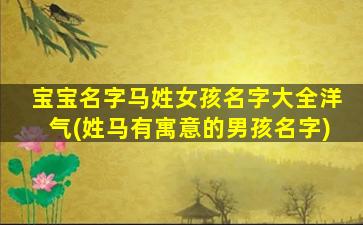 宝宝名字马姓女孩名字大全洋气(姓马有寓意的男孩名字)