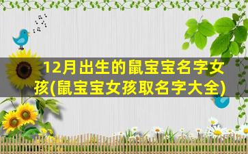 12月出生的鼠宝宝名字女孩(鼠宝宝女孩取名字大全)