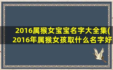 2016属猴女宝宝名字大全集(2016年属猴女孩取什么名字好)