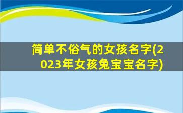 简单不俗气的女孩名字(2023年女孩兔宝宝名字)
