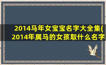 2014马年女宝宝名字大全集(2014年属马的女孩取什么名字好)