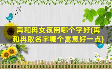 苒和冉女孩用哪个字好(苒和冉取名字哪个寓意好一点)
