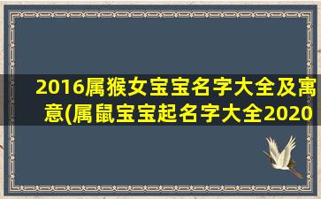2016属猴女宝宝名字大全及寓意(属鼠宝宝起名字大全2020)
