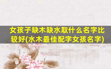 女孩子缺木缺水取什么名字比较好(水木最佳配字女孩名字)