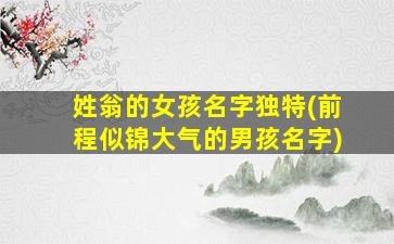 姓翁的女孩名字独特(前程似锦大气的男孩名字)