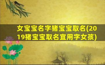 女宝宝名字猪宝宝取名(2019猪宝宝取名宜用字女孩)