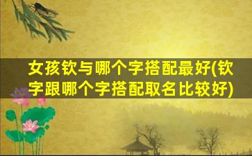 女孩钦与哪个字搭配最好(钦字跟哪个字搭配取名比较好)