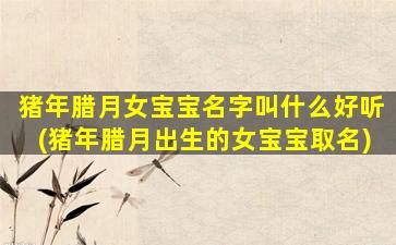 猪年腊月女宝宝名字叫什么好听(猪年腊月出生的女宝宝取名)