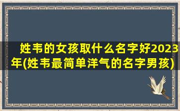 姓韦的女孩取什么名字好2023年(姓韦最简单洋气的名字男孩)