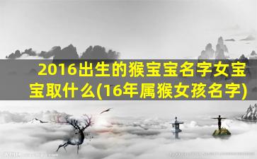 2016出生的猴宝宝名字女宝宝取什么(16年属猴女孩名字)