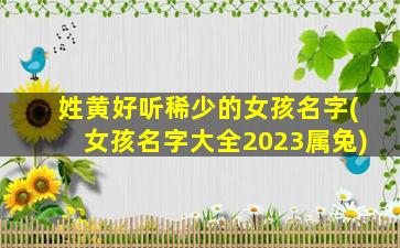 姓黄好听稀少的女孩名字(女孩名字大全2023属兔)