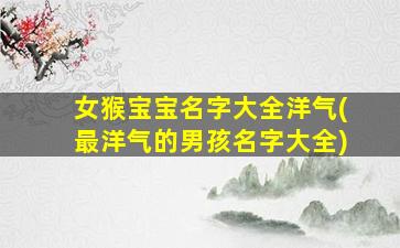 女猴宝宝名字大全洋气(最洋气的男孩名字大全)