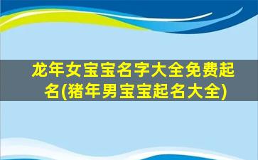 龙年女宝宝名字大全免费起名(猪年男宝宝起名大全)