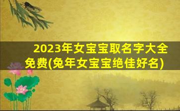 2023年女宝宝取名字大全免费(兔年女宝宝绝佳好名)