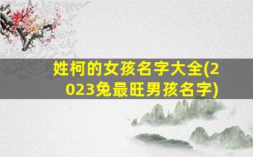 姓柯的女孩名字大全(2023兔最旺男孩名字)