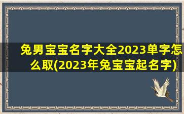 兔男宝宝名字大全2023单字怎么取(2023年兔宝宝起名字)