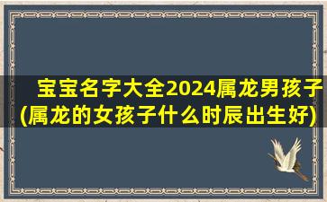 宝宝名字大全2024属龙男孩子(属龙的女孩子什么时辰出生好)