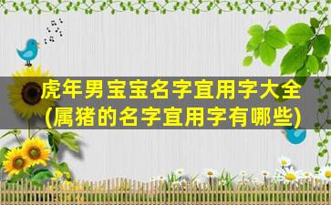 虎年男宝宝名字宜用字大全(属猪的名字宜用字有哪些)