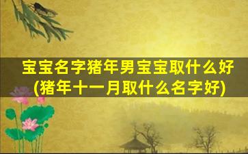 宝宝名字猪年男宝宝取什么好(猪年十一月取什么名字好)