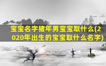 宝宝名字猪年男宝宝取什么(2020年出生的宝宝取什么名字)