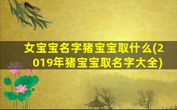 女宝宝名字猪宝宝取什么(2019年猪宝宝取名字大全)