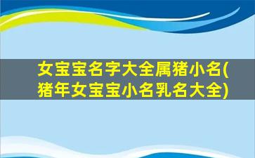 女宝宝名字大全属猪小名(猪年女宝宝小名乳名大全)