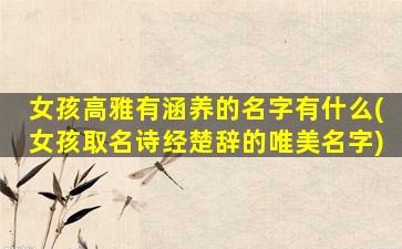 女孩高雅有涵养的名字有什么(女孩取名诗经楚辞的唯美名字)