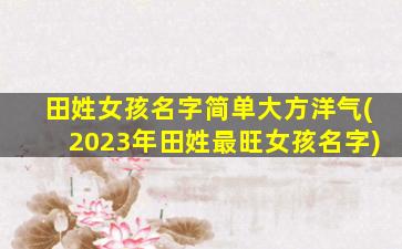 田姓女孩名字简单大方洋气(2023年田姓最旺女孩名字)