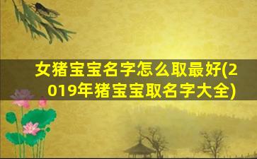 女猪宝宝名字怎么取最好(2019年猪宝宝取名字大全)