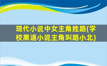 现代小说中女主角姓路(学校黑道小说主角叫路小北)