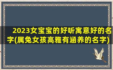 2023女宝宝的好听寓意好的名字(属兔女孩高雅有涵养的名字)