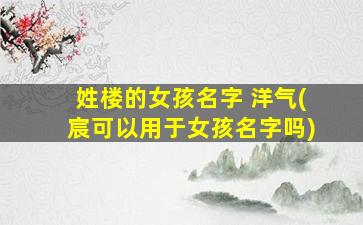姓楼的女孩名字 洋气(宸可以用于女孩名字吗)