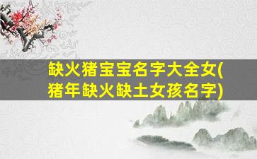 缺火猪宝宝名字大全女(猪年缺火缺土女孩名字)