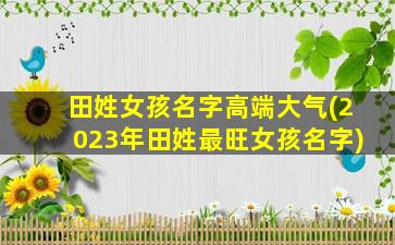 田姓女孩名字高端大气(2023年田姓最旺女孩名字)
