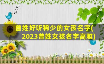 曾姓好听稀少的女孩名字(2023曾姓女孩名字高雅)