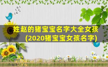 姓赵的猪宝宝名字大全女孩(2020猪宝宝女孩名字)