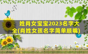 姓肖女宝宝2023名字大全(肖姓女孩名字简单顺嘴)