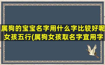 属狗的宝宝名字用什么字比较好呢女孩五行(属狗女孩取名字宜用字)
