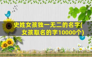 史姓女孩独一无二的名字(女孩取名的字10000个)