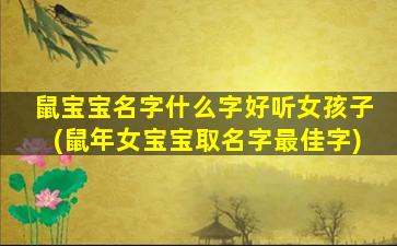 鼠宝宝名字什么字好听女孩子(鼠年女宝宝取名字最佳字)