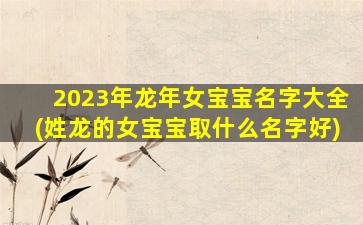2023年龙年女宝宝名字大全(姓龙的女宝宝取什么名字好)